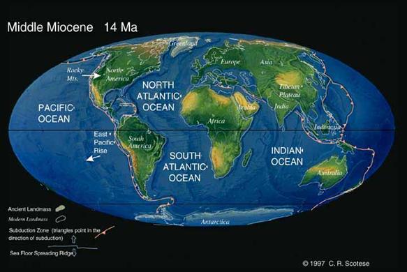 miocene